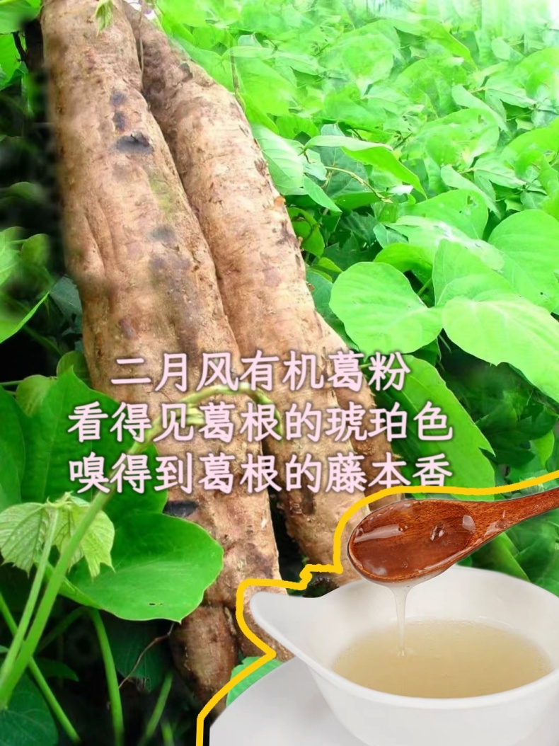 二月風有機葛粉，看得見葛根的琥珀色，嗅得到葛根的藤本香_790.jpg